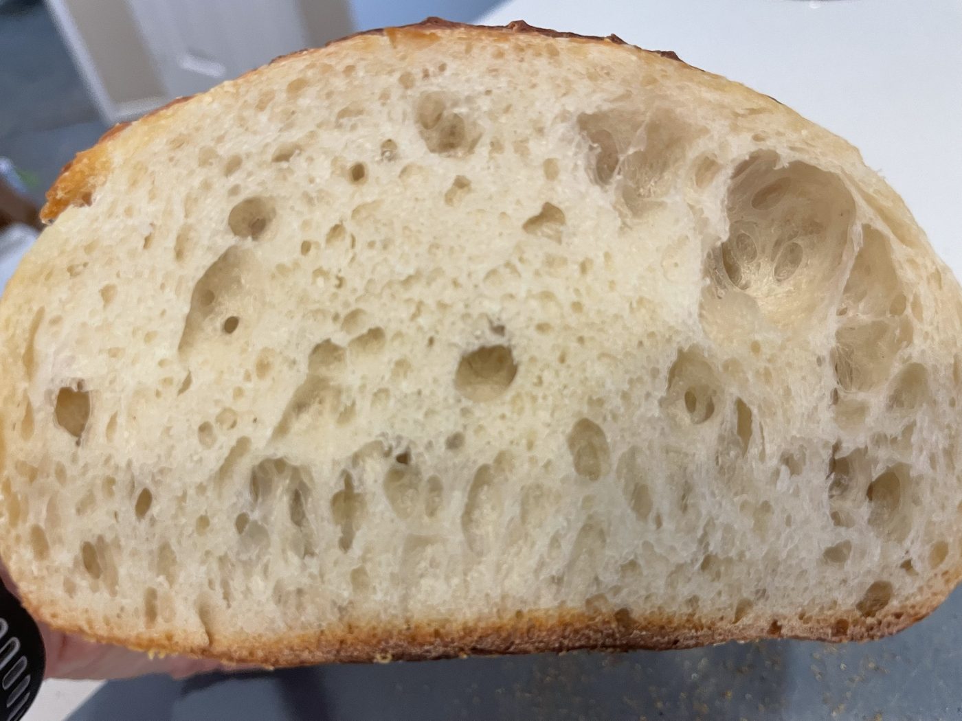 A cut half of the sourdough loaf showing an open, irregular crumb with holes of varying sizes and a thin golden crust.